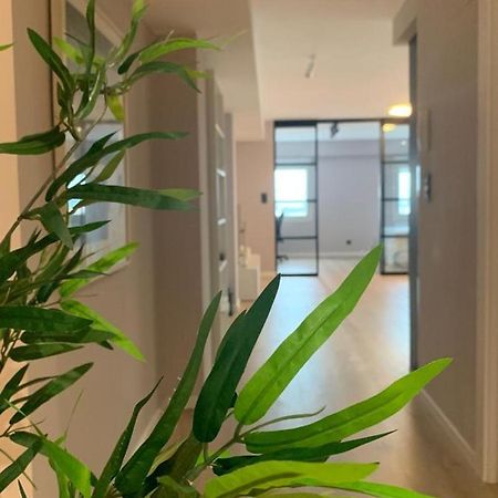 Espectacular Loft Lleno De Luz Y Espacio! Σαραγόσα Εξωτερικό φωτογραφία