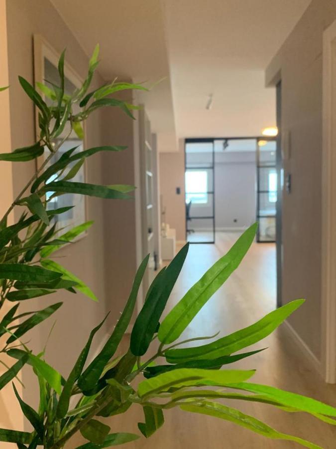 Espectacular Loft Lleno De Luz Y Espacio! Σαραγόσα Εξωτερικό φωτογραφία